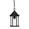 Narrow Matte Black Glass Lantern Hanging Light