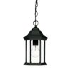 Narrow Matte Black Glass Lantern Hanging Light