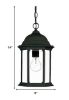 Matte Black Glass Lantern Hanging Light