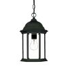 Matte Black Glass Lantern Hanging Light