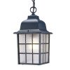 Matte Black Window Pane Lantern Hanging Light