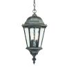 Two Light Antique Black Carousel Lantern Hanging Light