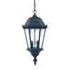 Two Light Matte Black Carousel Lantern Hanging Light