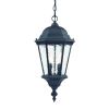 Two Light Matte Black Carousel Lantern Hanging Light