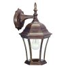 Dark Brown Hanging Carousel Lantern Wall Light