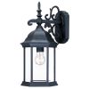 Narrow Matte Black Domed Hanging Glass Lantern Wall Light