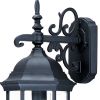 Narrow Matte Black Domed Hanging Glass Lantern Wall Light