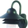 Matte Black Motion Sensor Outdoor Wall Light