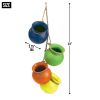 Fiesta Hanging Pots