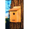 Cedar Wood Birdhouse - Ideal for Eastern Western and Mountain Bluebirds