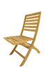 Andrew Folding Chair - Set of 2