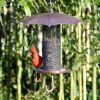 Copper Umbrella Bird Feeder with Mesh Tube Revivor - 3.5 lbs. Seed Capacity