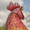 5.5 ft. Tall Iron Rooster Garden Statue "Robert"