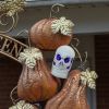 Large "Happy Halloween" Arch with Pumpkins and Skulls