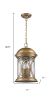 Lincoln 4-Light Antique Brass Hanging Light